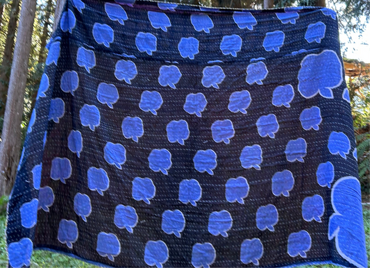 A Teacher Favorite Kantha Quilt